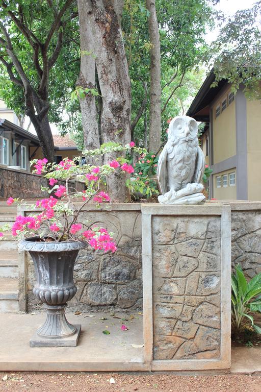 Lake Lodge Boutique Hotel 담불라 외부 사진